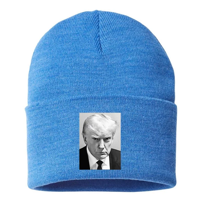 Trump Mug Shot Donald Trump Mug Shot Sustainable Knit Beanie