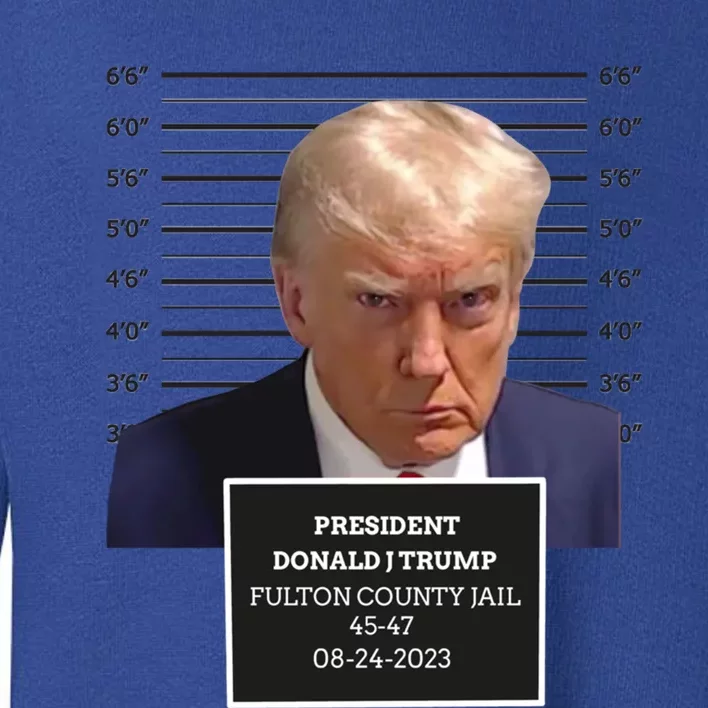 Trump Mug Shot President Donald J Trump Mugshot 2023 Funny Gift Toddler Sweatshirt