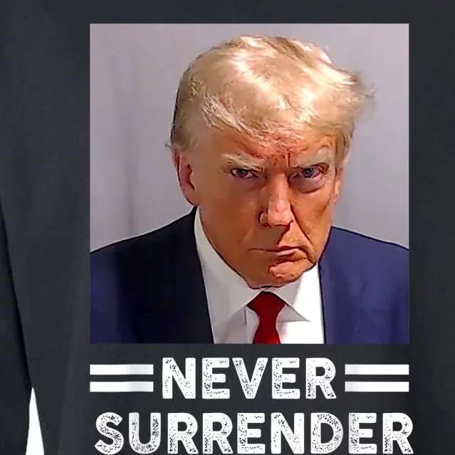 Trump Mug Shot Never Surrender Trump Vote 2024 Pro Trump Cropped Pullover Crew