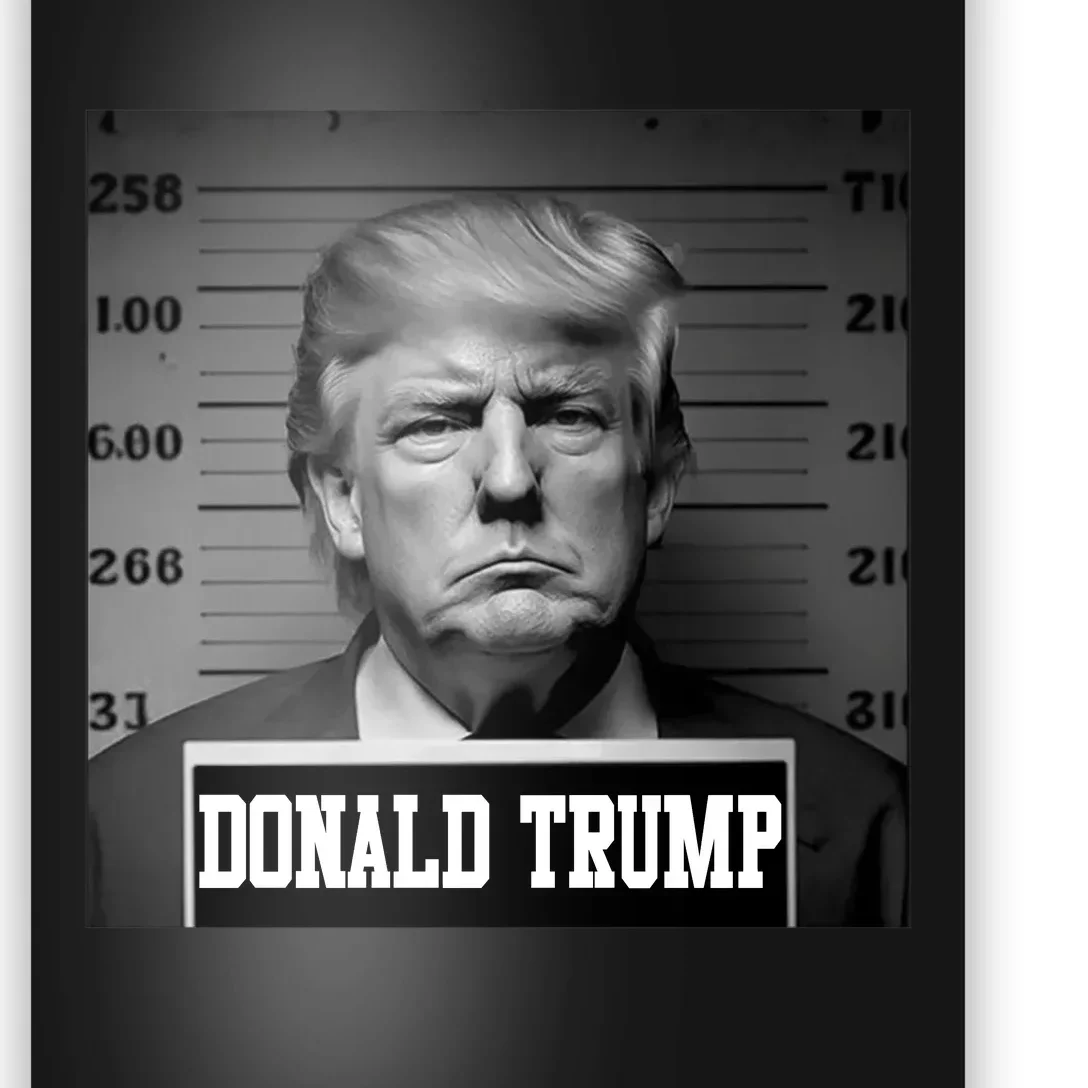 Trump Mugshot, Trump Mug Shot Poster | TeeShirtPalace