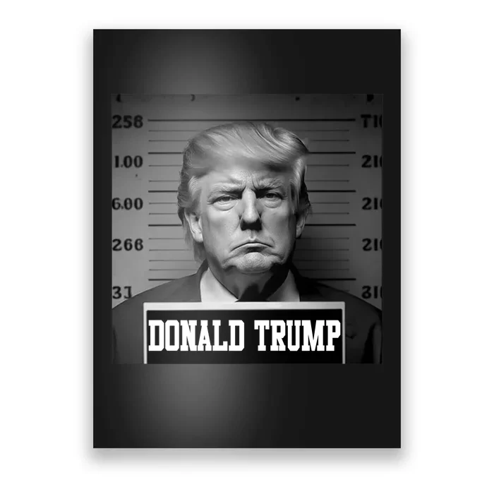 Trump Mugshot, Trump Mug Shot Poster 