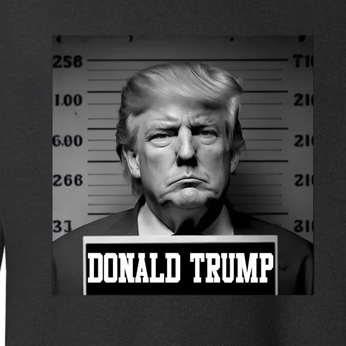 Trump Mugshot, Trump Mug Shot Toddler Sweatshirt