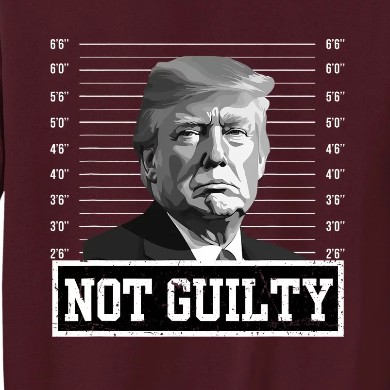 The Mugshot Trump Not Guilty Tall Sweatshirt