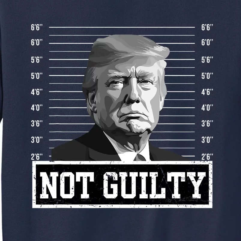 The Mugshot Trump Not Guilty Sweatshirt