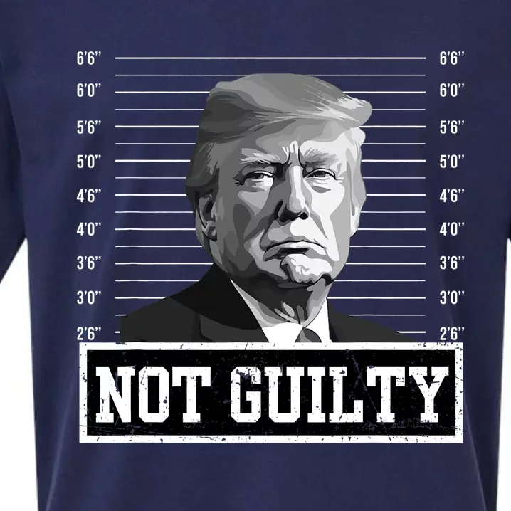 The Mugshot Trump Not Guilty Sueded Cloud Jersey T-Shirt