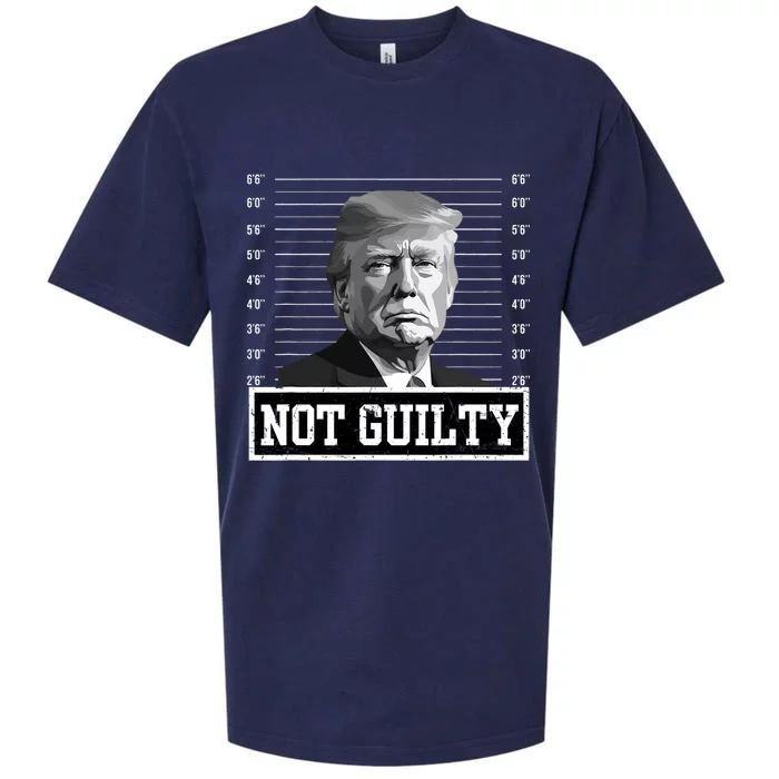 The Mugshot Trump Not Guilty Sueded Cloud Jersey T-Shirt