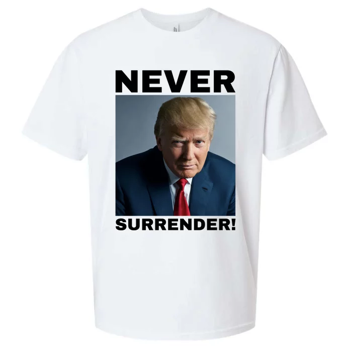 Trump never surrender 2024 Mugshot Sueded Cloud Jersey T-Shirt