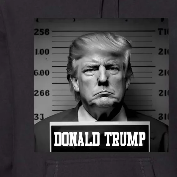 Trump Mugshot, Trump Mug Shot Premium Hoodie