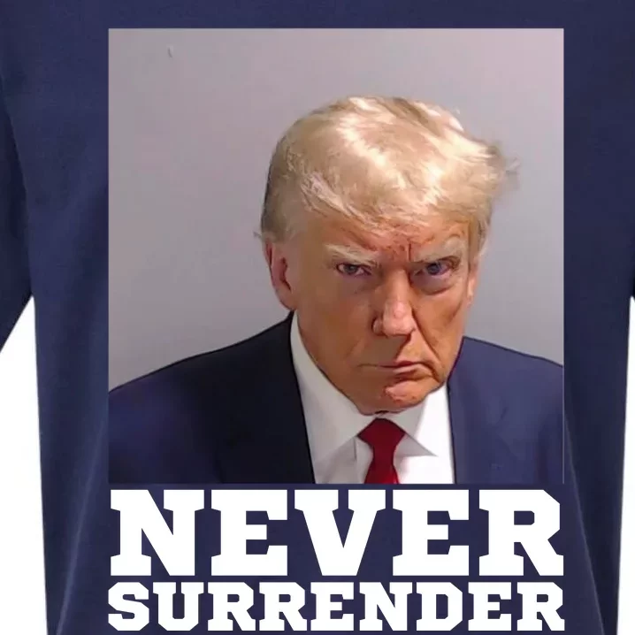 Trump never surrender 2024 Mugshot Sueded Cloud Jersey T-Shirt