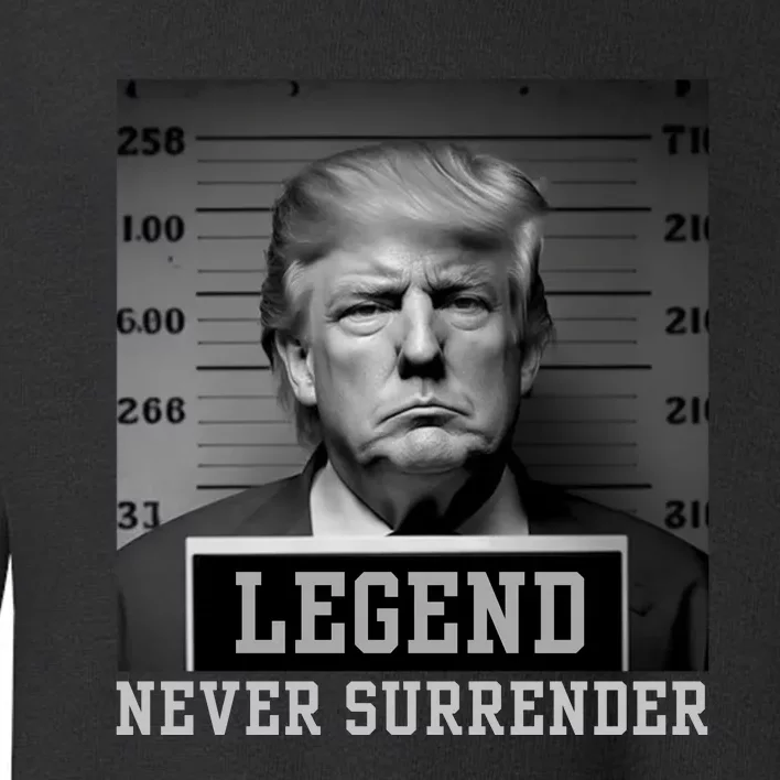 Trump never surrender 2024 Mugshot Toddler Sweatshirt