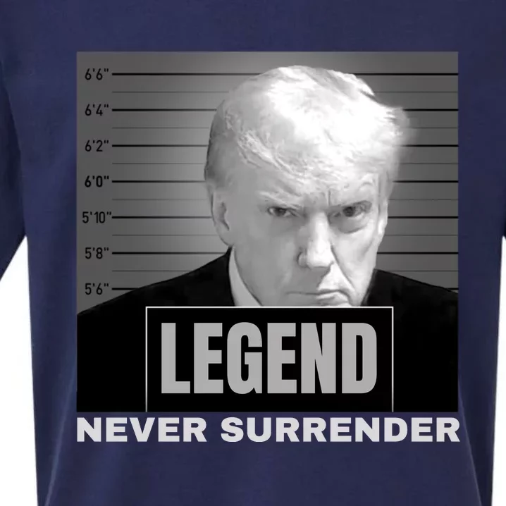 Trump never surrender 2024 Mugshot Sueded Cloud Jersey T-Shirt