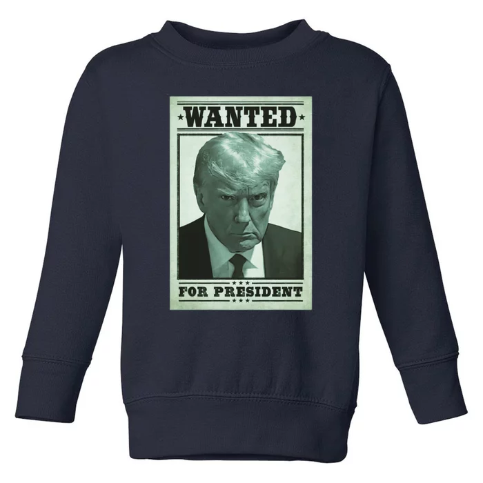 Trump Mugshot Toddler Sweatshirt