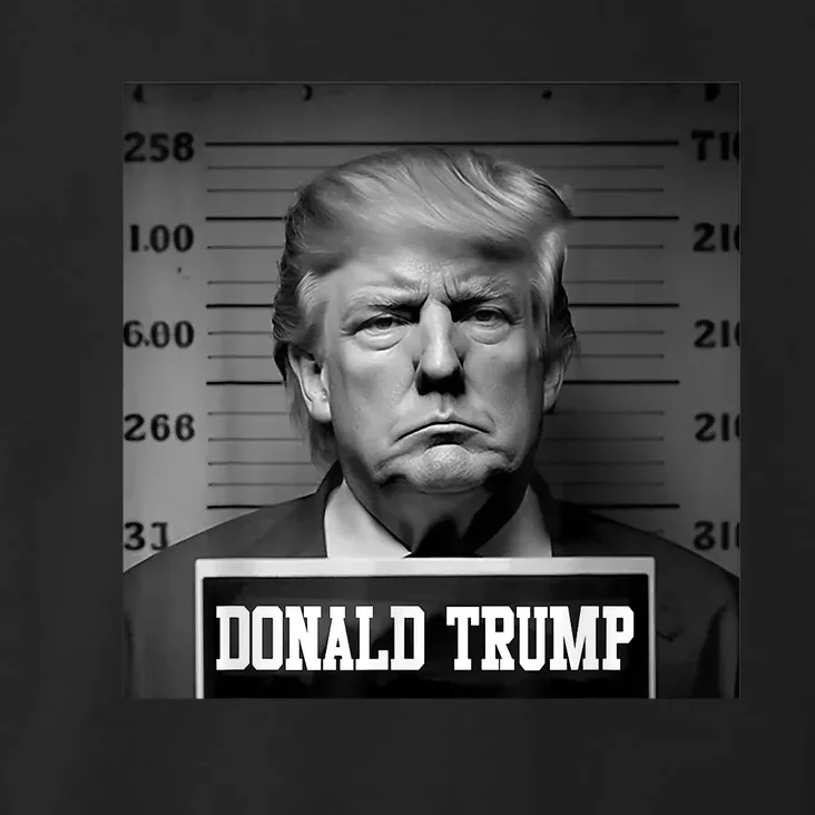 Trump Mugshot Trump Mug Shot Trending Toddler Hoodie