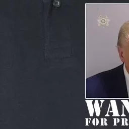 Trump Mugshot Wanted For President Softstyle Adult Sport Polo