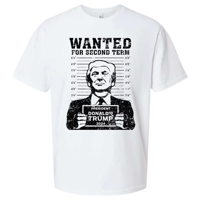 Trump Mugshot Wanted For Second Term 2024 Sueded Cloud Jersey T-Shirt