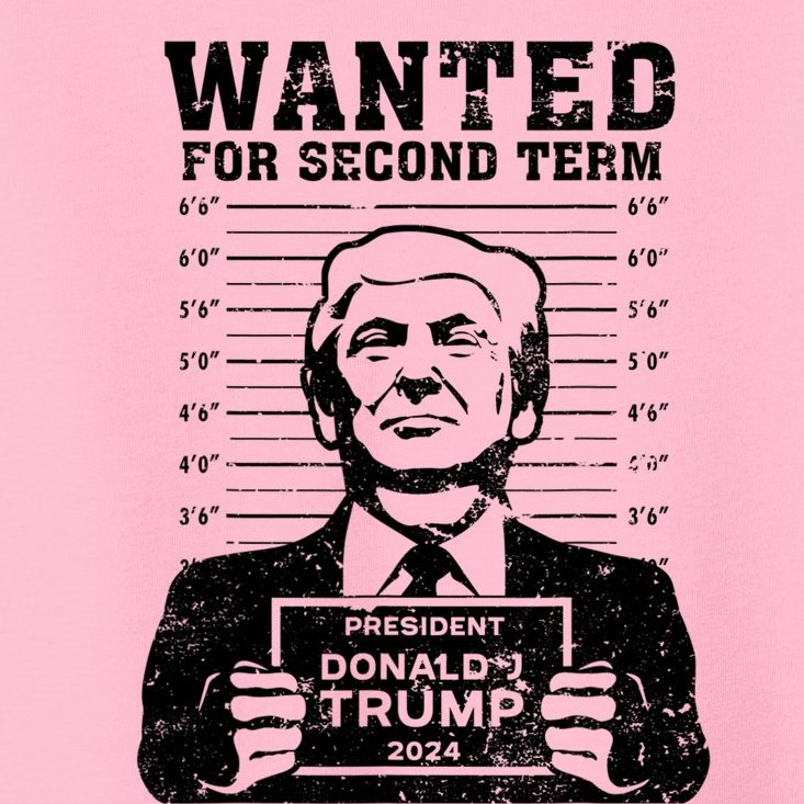 Trump Mugshot Wanted For Second Term 2024 Toddler TShirt TeeShirtPalace