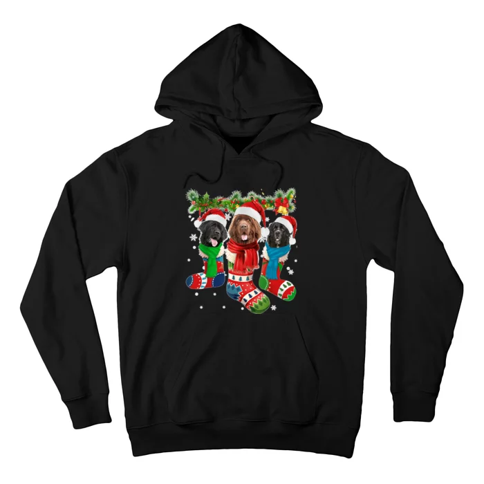 Three Newfoundland Dogs In Christmas Socks Hoodie