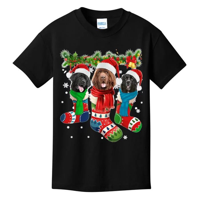 Three Newfoundland Dogs In Christmas Socks Kids T-Shirt