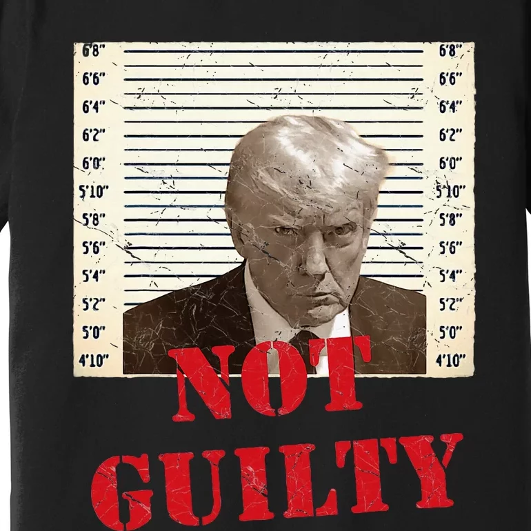 Trump Not Guilty 2024 Premium T-Shirt