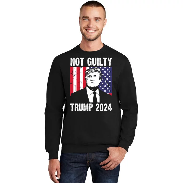 Trump Not Guilty 2024 Free Trump Usa Election Sweatshirt