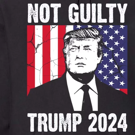 Trump Not Guilty 2024 Free Trump Usa Election Premium Hoodie