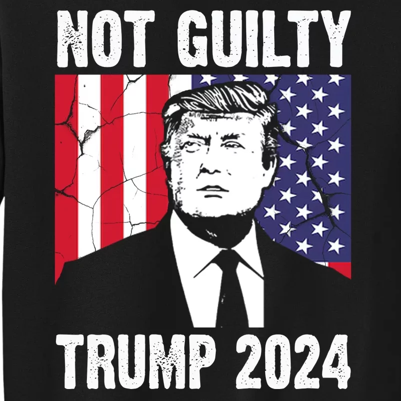 Trump Not Guilty 2024 Free Trump Usa Election Tall Sweatshirt