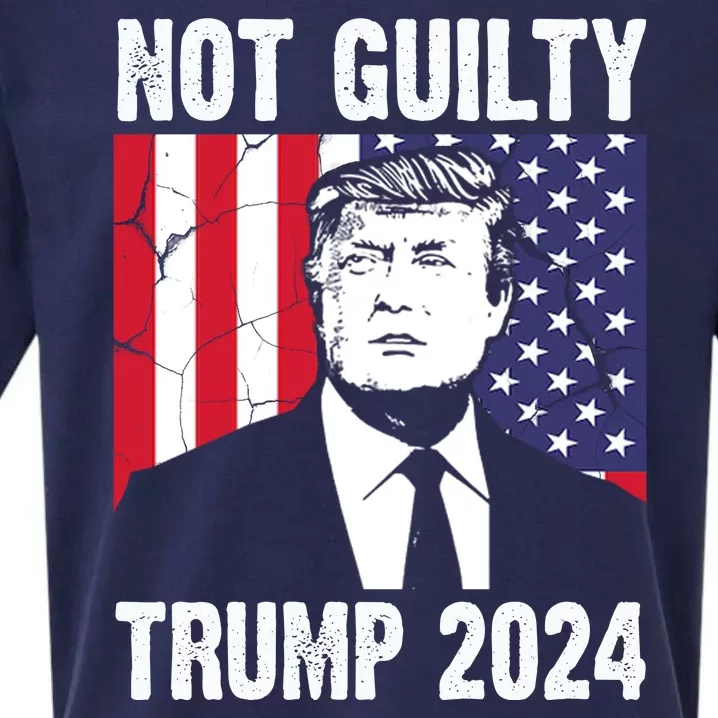 Trump Not Guilty 2024 Free Trump Usa Election Sueded Cloud Jersey T-Shirt