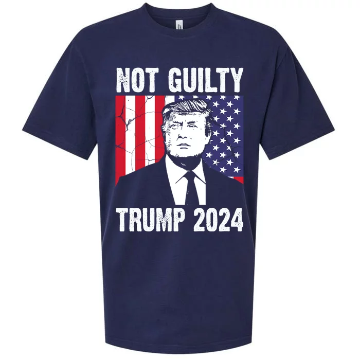 Trump Not Guilty 2024 Free Trump Usa Election Sueded Cloud Jersey T-Shirt