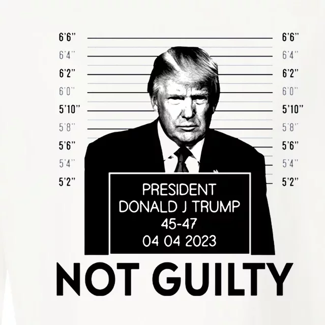 Trump Not Guilty Cropped Pullover Crew