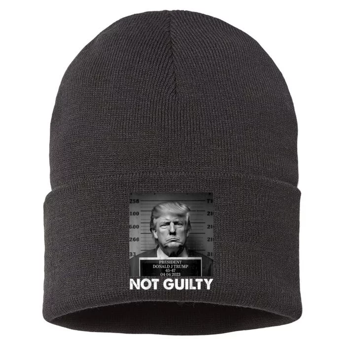 Trump Not Guilty 2024 Free Trump Republican Support Trump Sustainable Knit Beanie