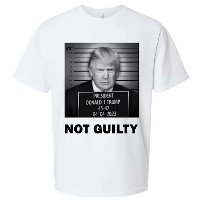 Trump Not Guilty Sueded Cloud Jersey T-Shirt