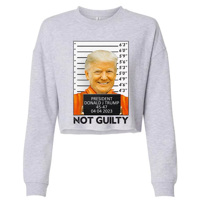 Trump Not Guilty Cropped Pullover Crew