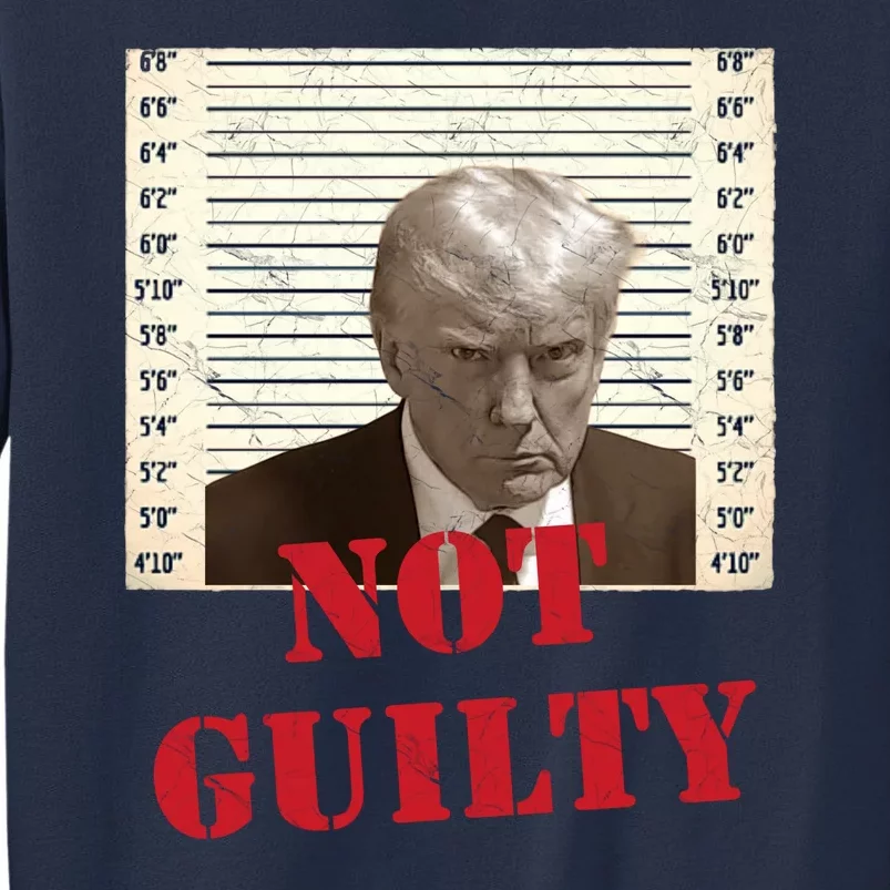 Trump Not Guilty 2024 Sweatshirt