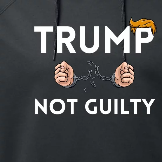 Trump not guilty Trump 2024 Mugshot Performance Fleece Hoodie