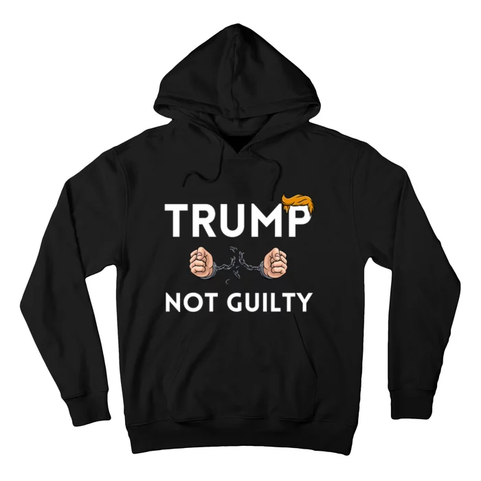 Trump not guilty Trump 2024 Mugshot Hoodie