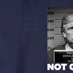 Trump Not Guilty Mug Shot Free Trump I Stand With Trump Softstyle Adult Sport Polo