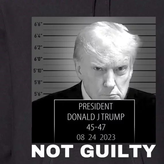 Trump not guilty Trump 2024 Mugshot Premium Hoodie