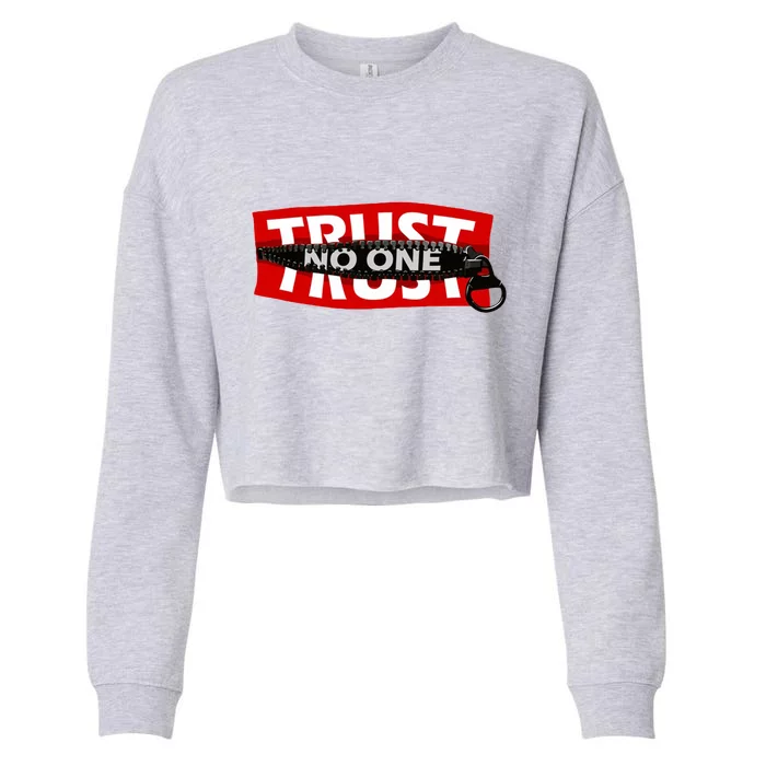 Trust No One Graphic Cropped Pullover Crew