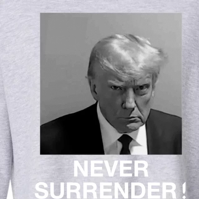 Trump never surrender Donald Trump Mugshot 2024 Cropped Pullover Crew