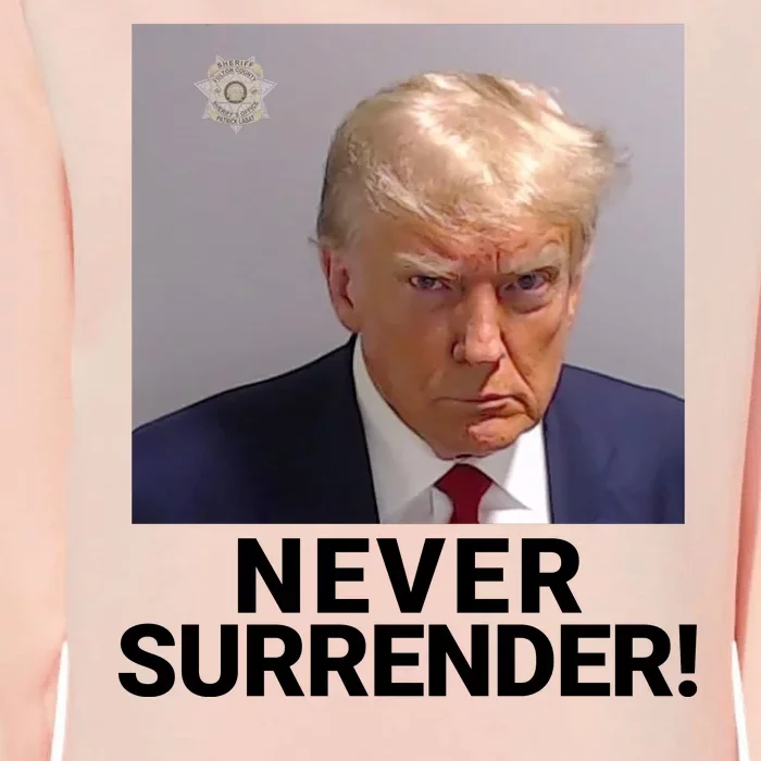 Trump Never Surrender Mugshot Booking Trump Mugshot 2024 Georgia Trump Mugshot Womens California Wash Sweatshirt