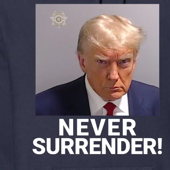 Trump Never Surrender Mugshot Booking Georgia Trump Mugshot Trump Mugshot 2024 Premium Hoodie