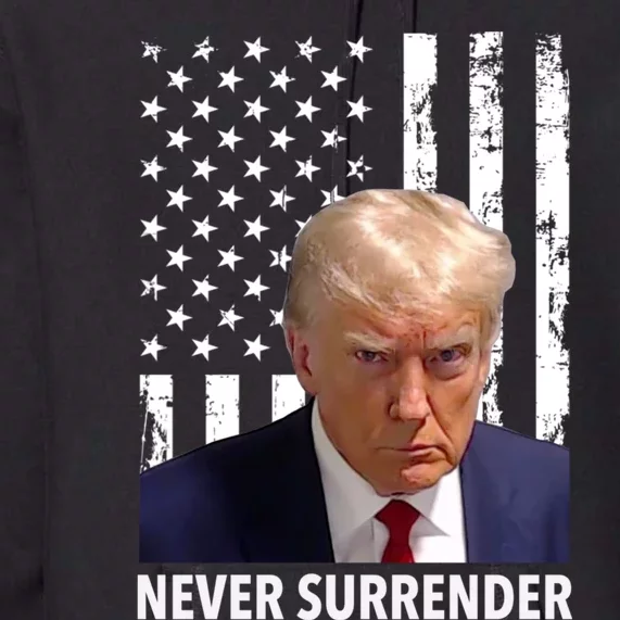 Trump Never Surrender Donald Trump Mugshot Trump 2024 Premium Hoodie