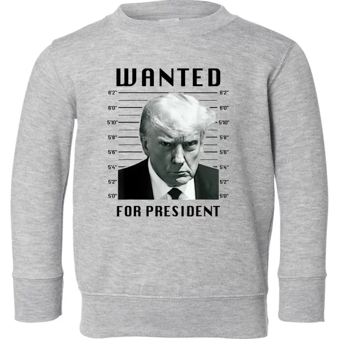 Trump Never Surrender Donald Trump Mugshot 2024 Toddler Sweatshirt