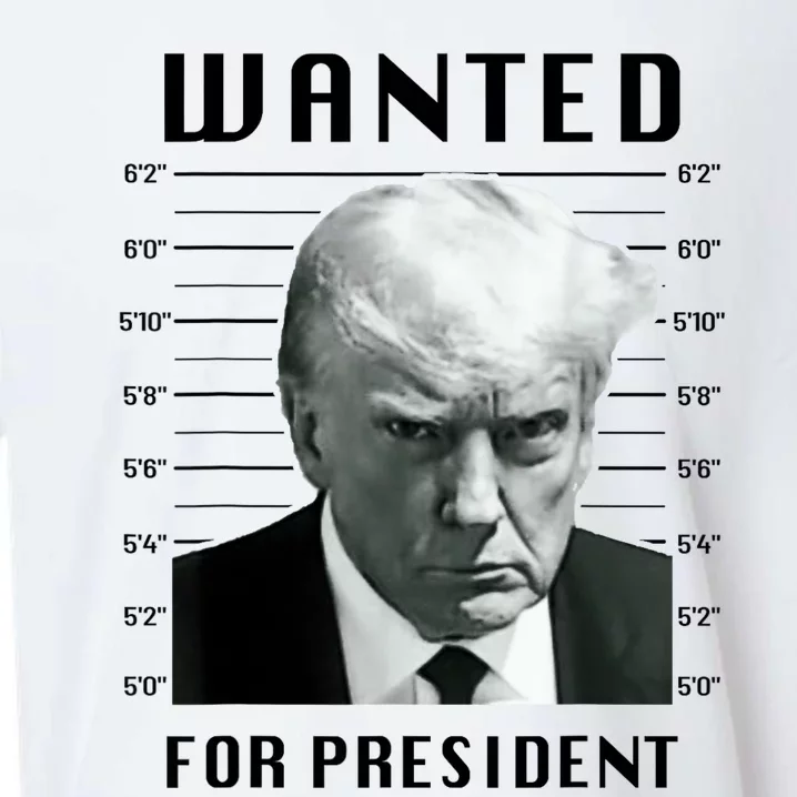 Trump Never Surrender Donald Trump Mugshot 2024 Sueded Cloud Jersey T-Shirt