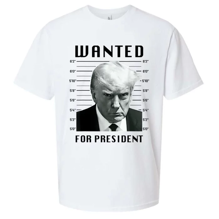 Trump Never Surrender Donald Trump Mugshot 2024 Sueded Cloud Jersey T-Shirt