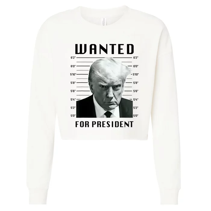 Trump Never Surrender Donald Trump Mugshot 2024 Cropped Pullover Crew