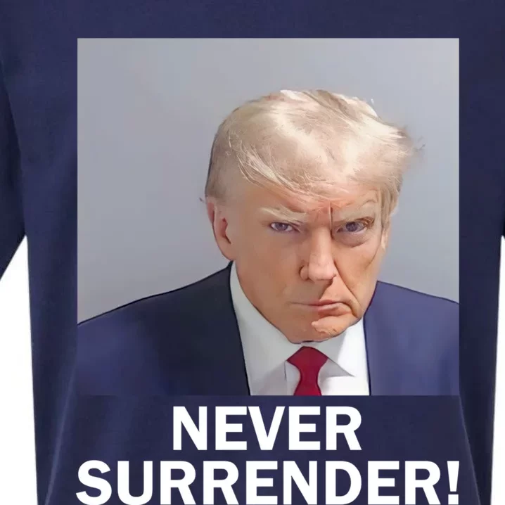 Trump Never Surrender Donald Trump Mugshot 2024 Sueded Cloud Jersey T-Shirt