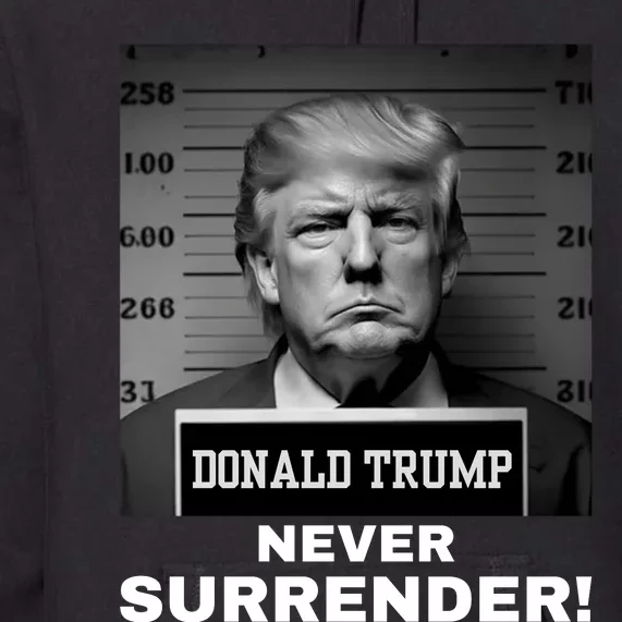 Trump Never Surrender 2024 Mugshot Premium Hoodie