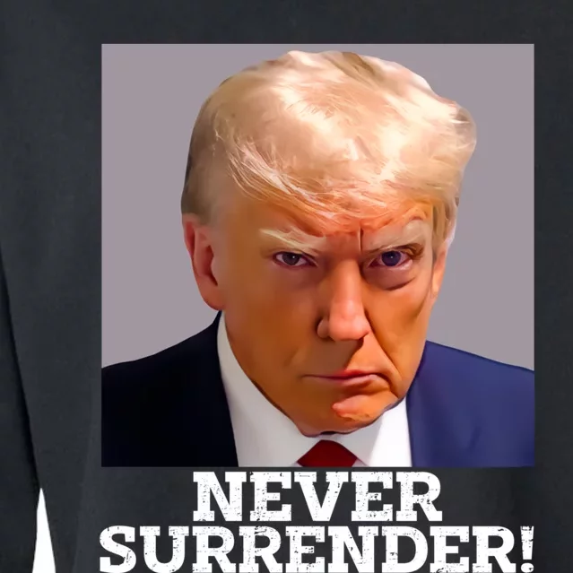 Trump Never Surrender Donald Trump Mugshot Trump 2024 Cropped Pullover Crew