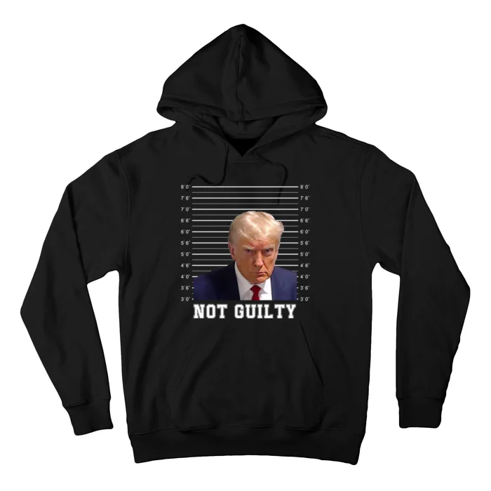 Trump Never Surrender Donald Trump Mugshot 2024 Hoodie